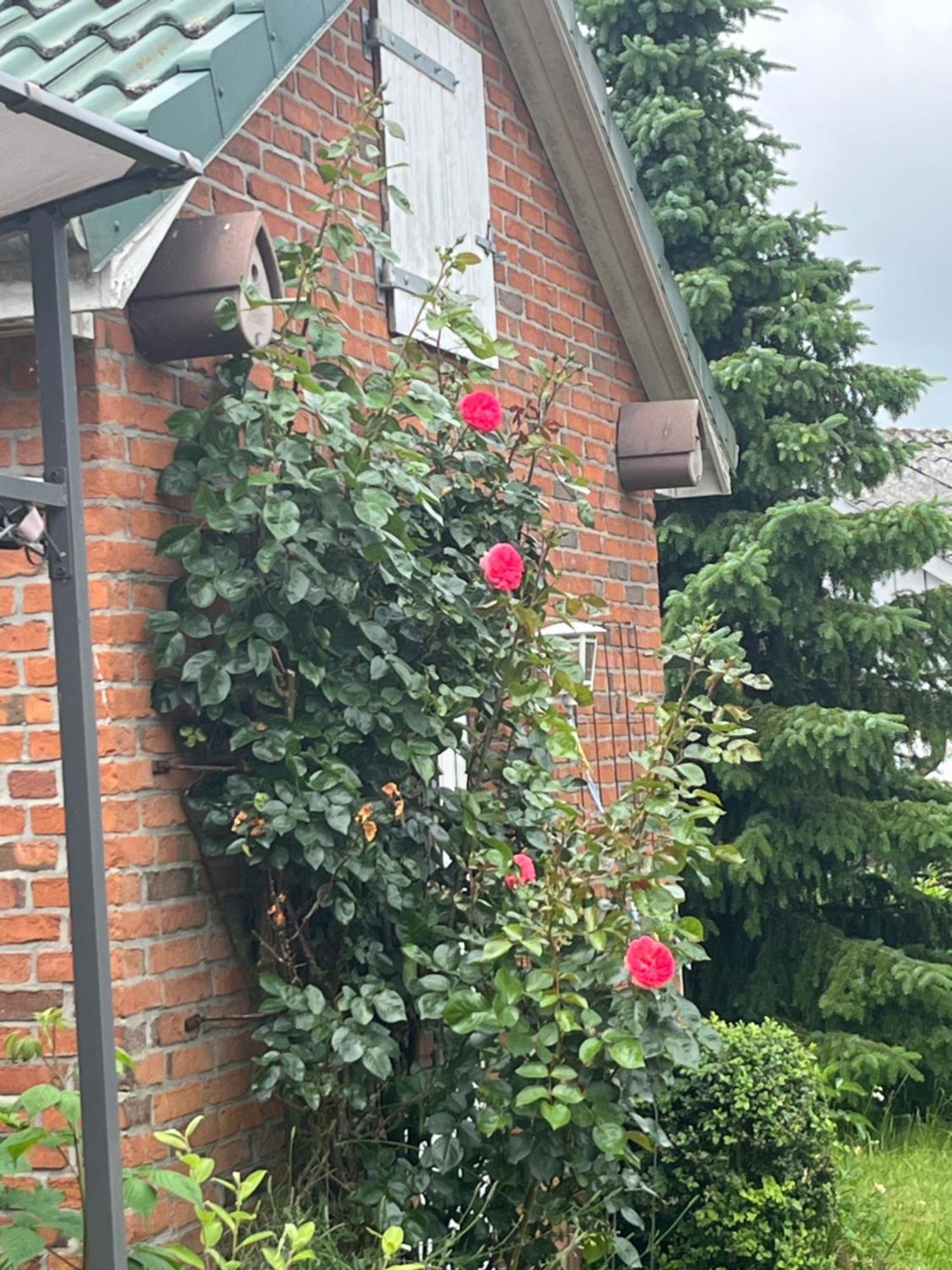 Gartenzimmer Zwischen Den Meeren Ladelund Dış mekan fotoğraf